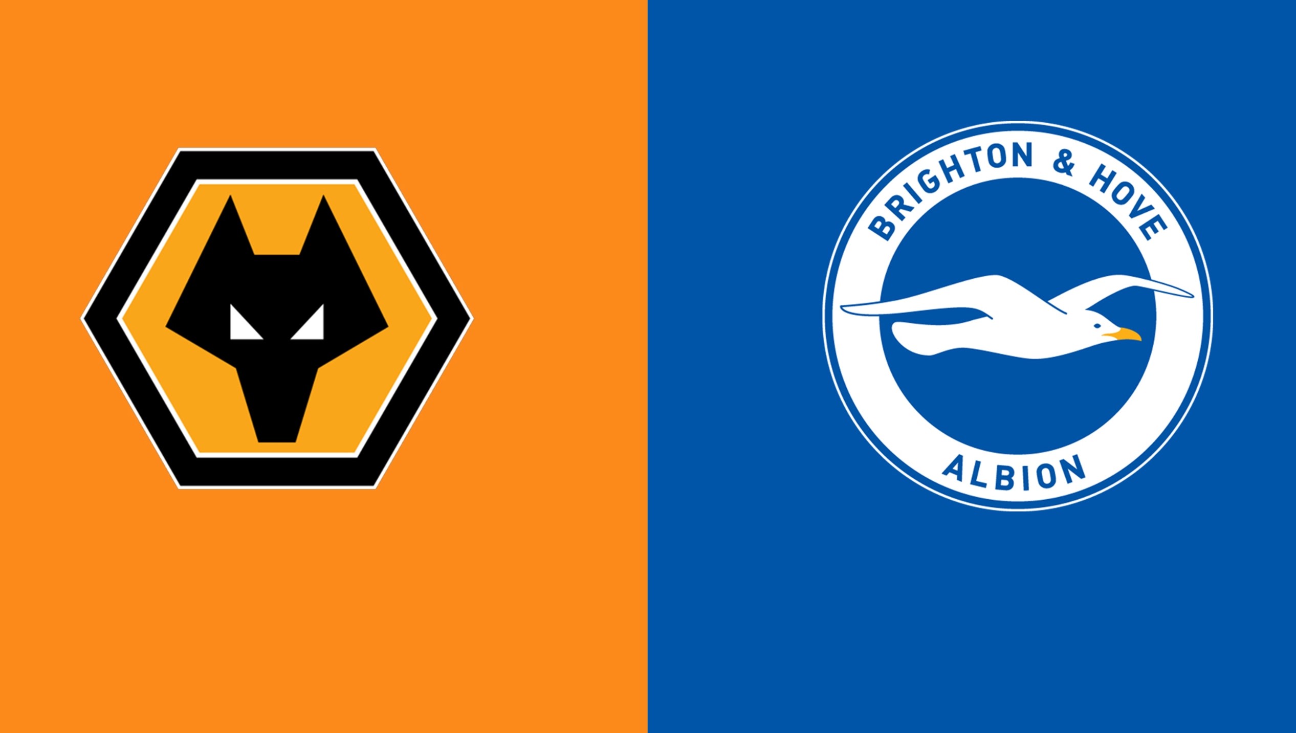 Tran dau Wolves vs Brighton tai Ngoai hang Anh ngay 10/05